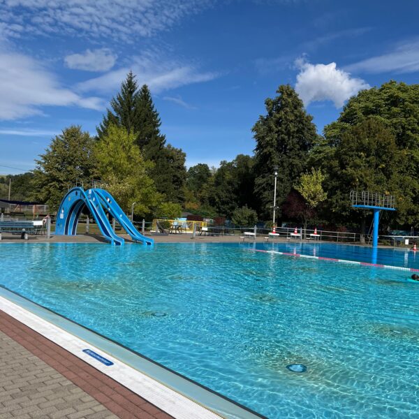 WhatsApp Image 2025-11-14 at 11.40.51